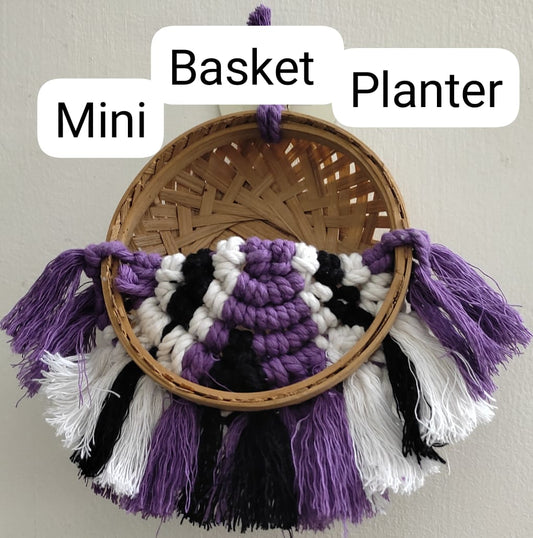 Mini Basket Planter